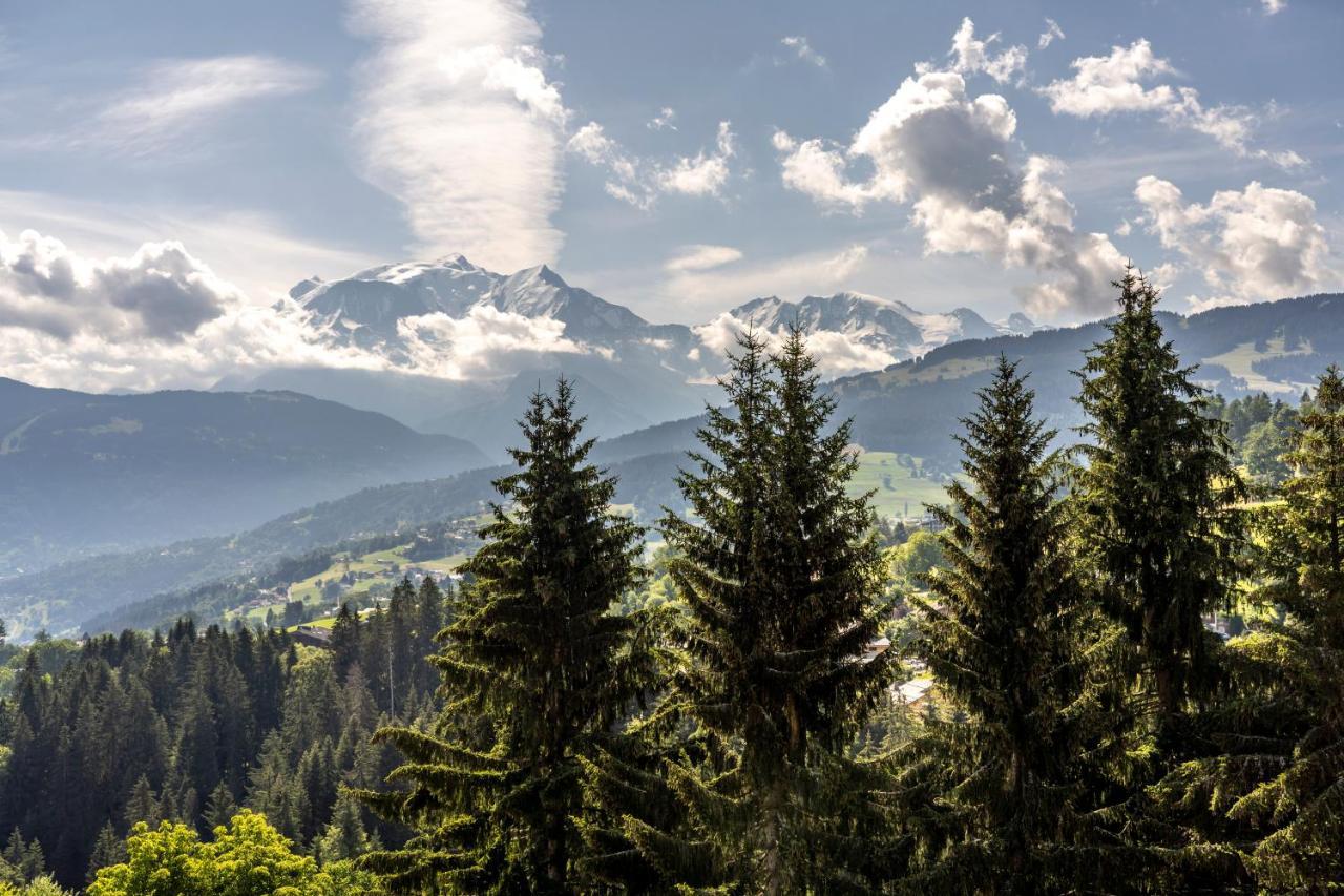 Garden&city Megève - Apartahotel 3*